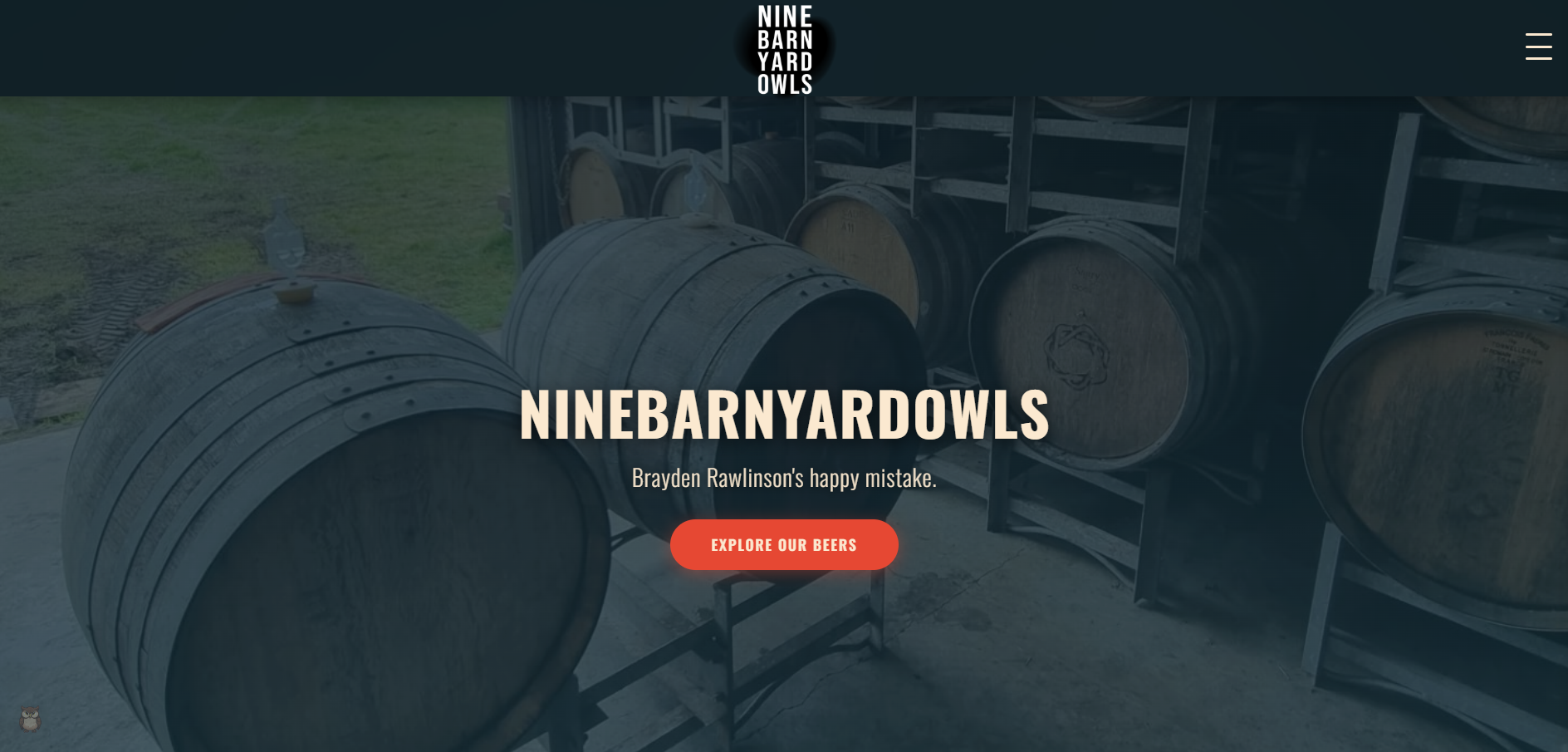 Nine Barn Yard Owls project screenshot
